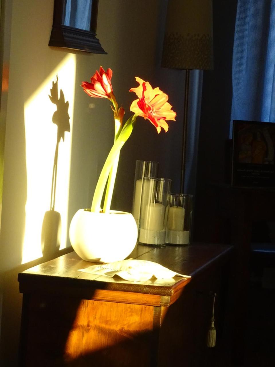 La Casa Di Clara Bed & Breakfast Esine Dış mekan fotoğraf